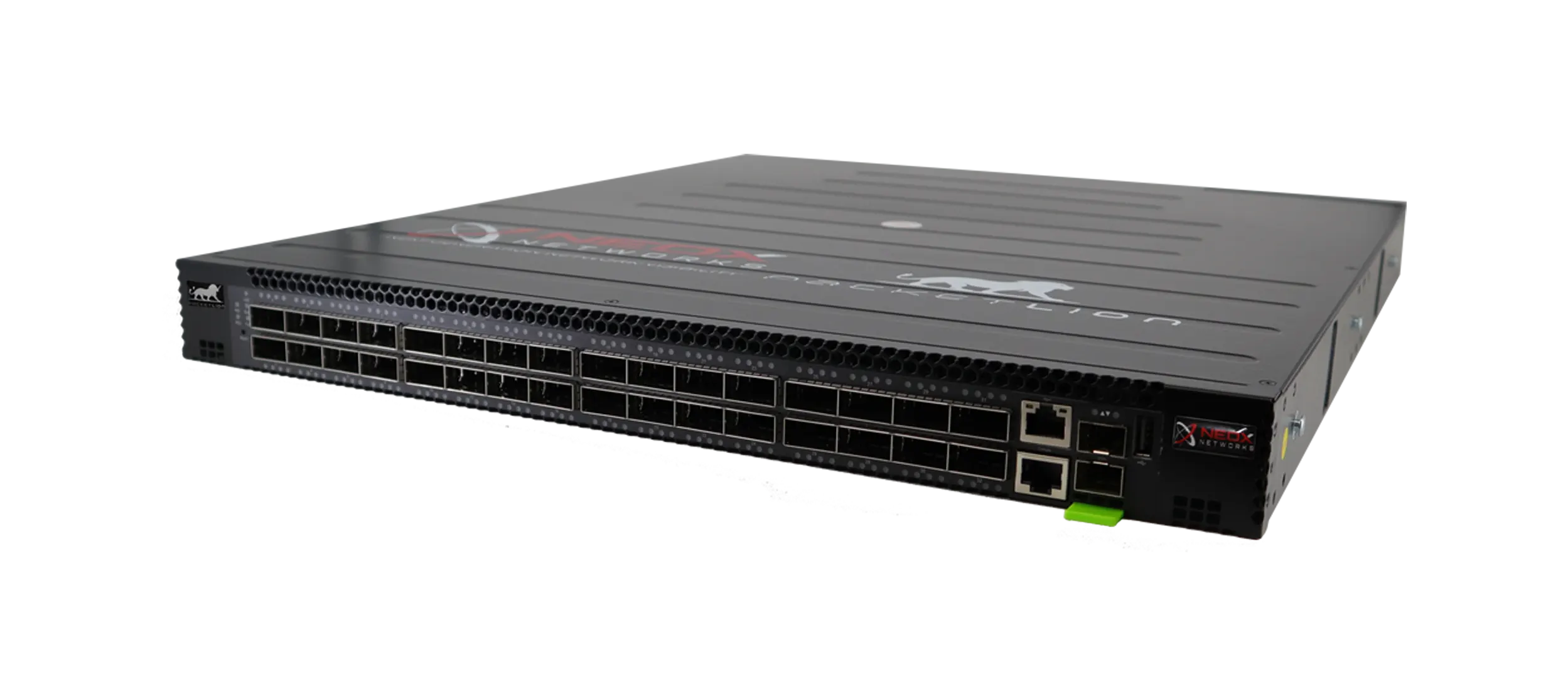 PacketLion 2L Network Packet Broker